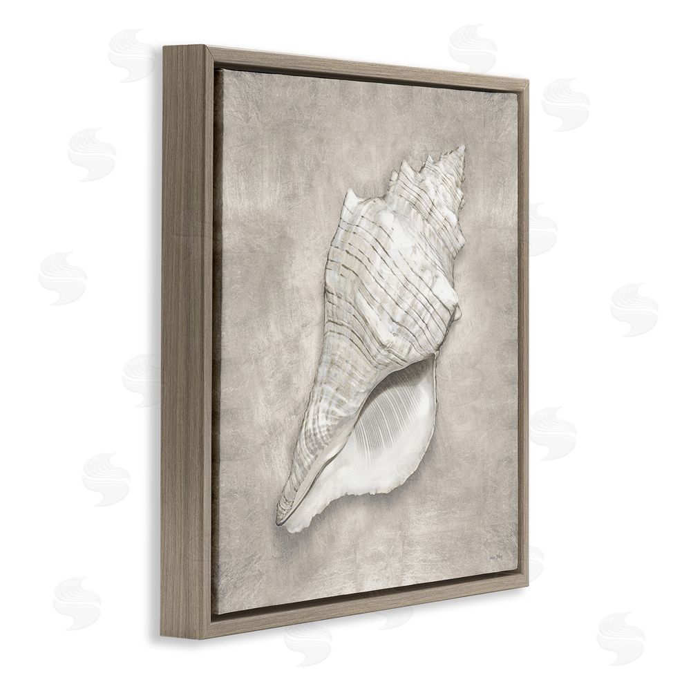 Amber Sterling Rustic Grey Conch Shell Brown Floating Frame Canvas Wall Art Print