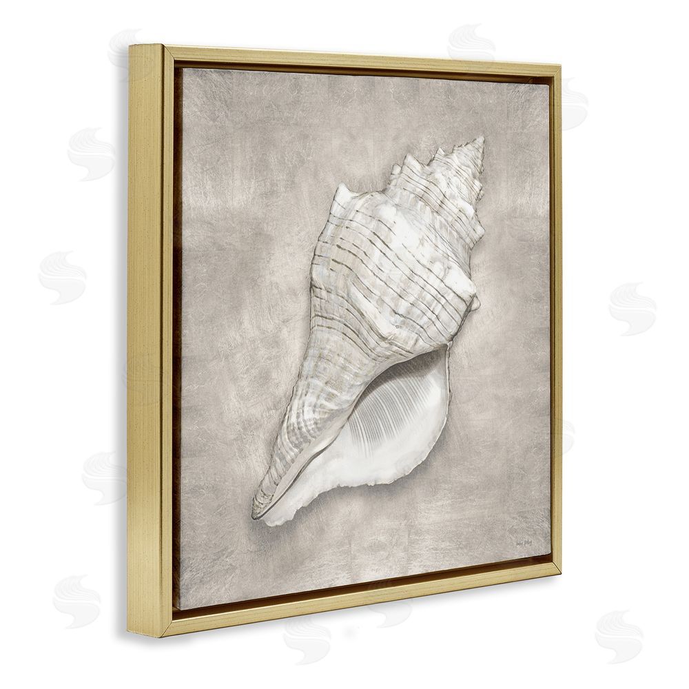 Amber Sterling Rustic Grey Conch Shell Gold Floating Frame Canvas Wall Art Print