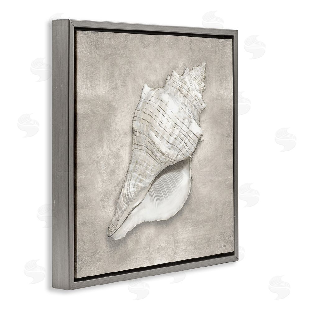 Amber Sterling Rustic Grey Conch Shell Gray Floating Frame Canvas Wall Art Print