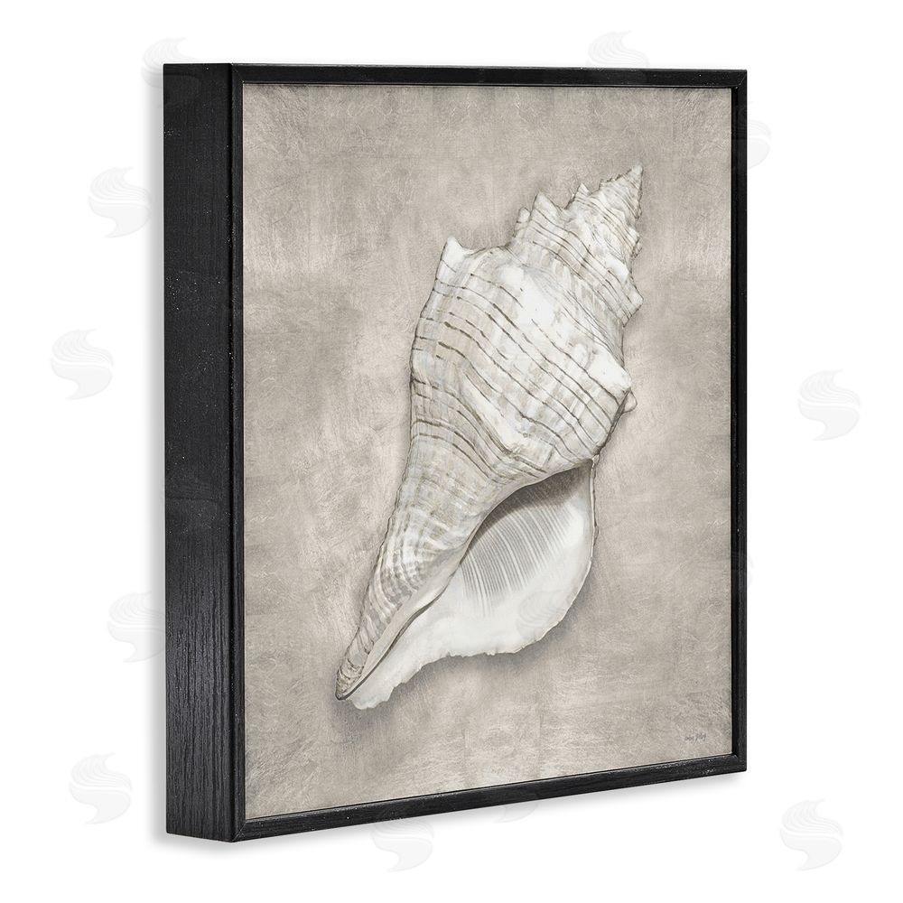 Amber Sterling Rustic Grey Conch Shell Black Framed Glicee Wall Art Print