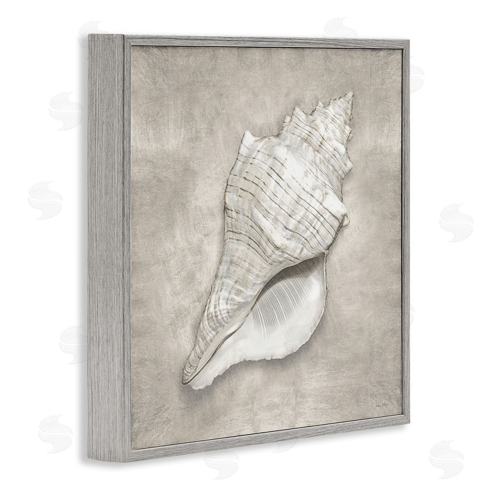 Amber Sterling Rustic Grey Conch Shell Gray Framed Glicee Wall Art Print