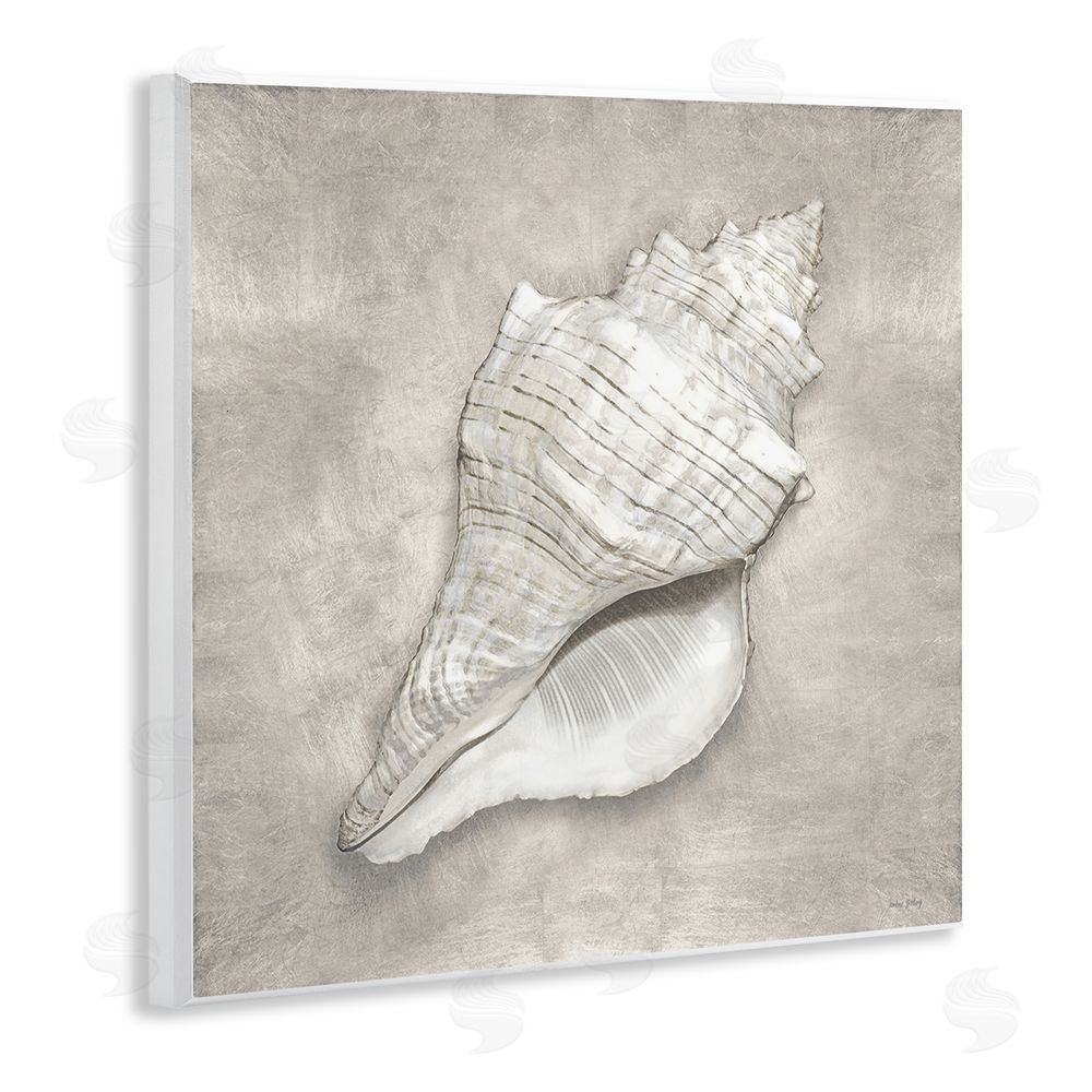 Amber Sterling Rustic Grey Conch Shell Wooden Wall Plaque Art Print