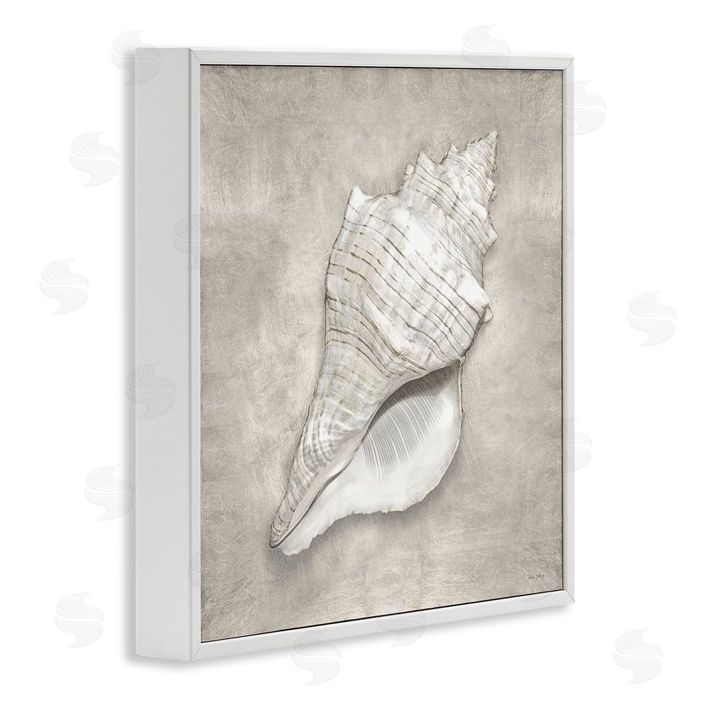 Amber Sterling Rustic Grey Conch Shell White Framed Glicee Wall Art Print