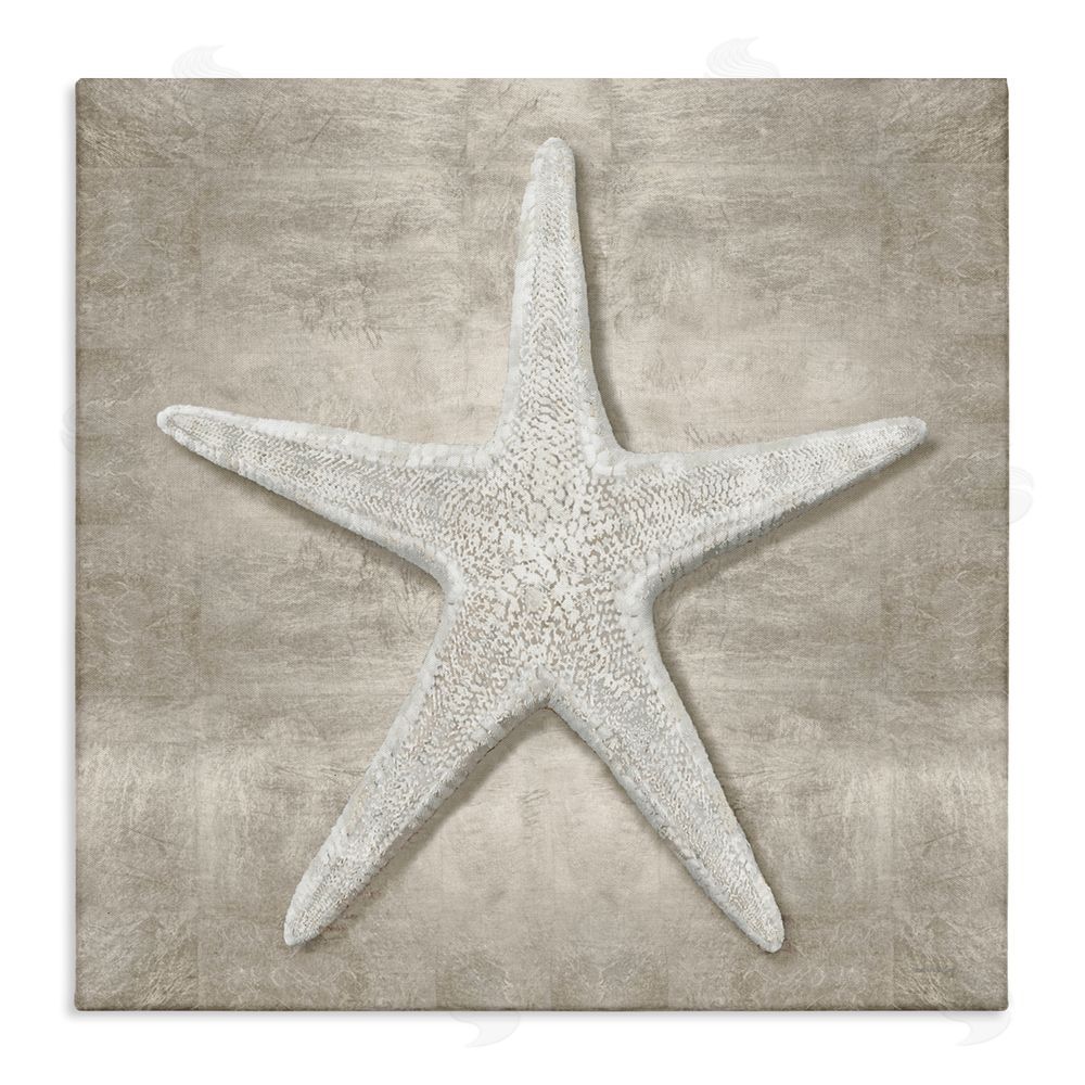 Amber Sterling Rustic Grey Starfish Stretched Canvas Wall Art Print