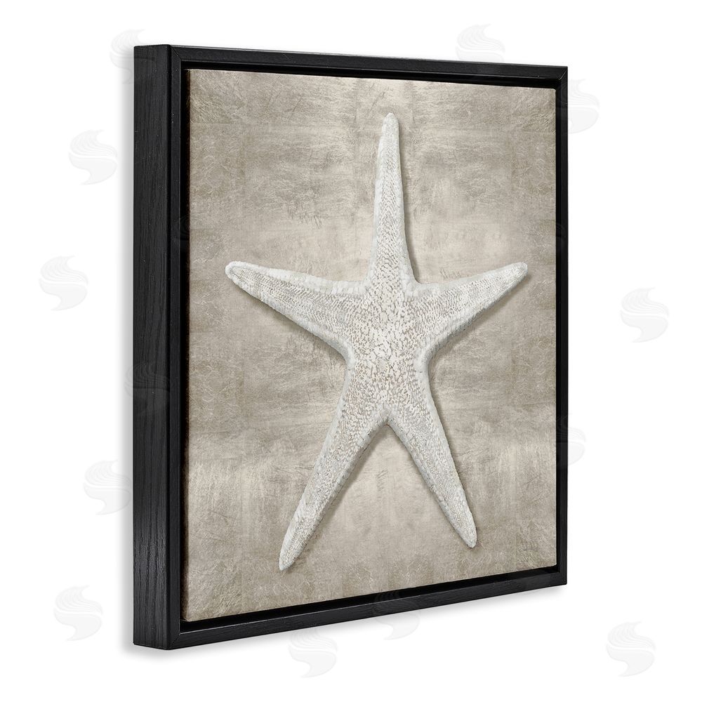 Amber Sterling Rustic Grey Starfish Black Floating Frame Canvas Wall Art Print