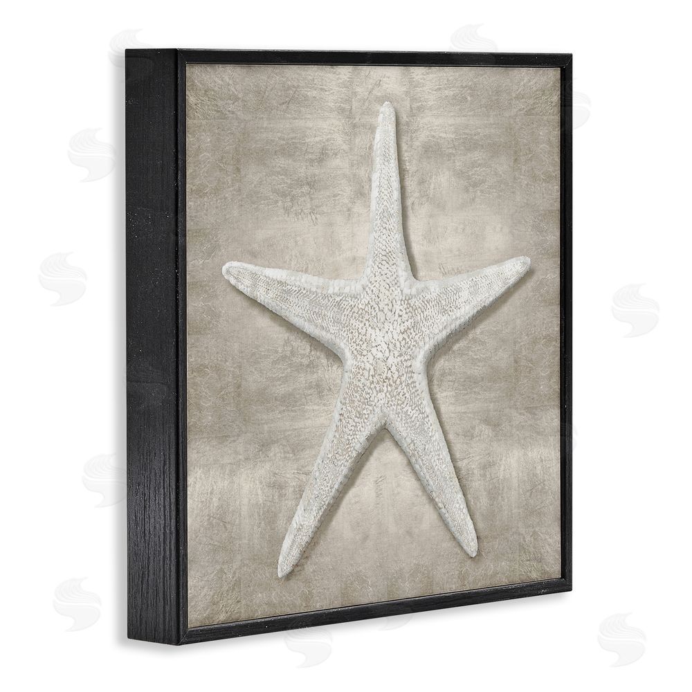 Amber Sterling Rustic Grey Starfish Black Framed Glicee Wall Art Print