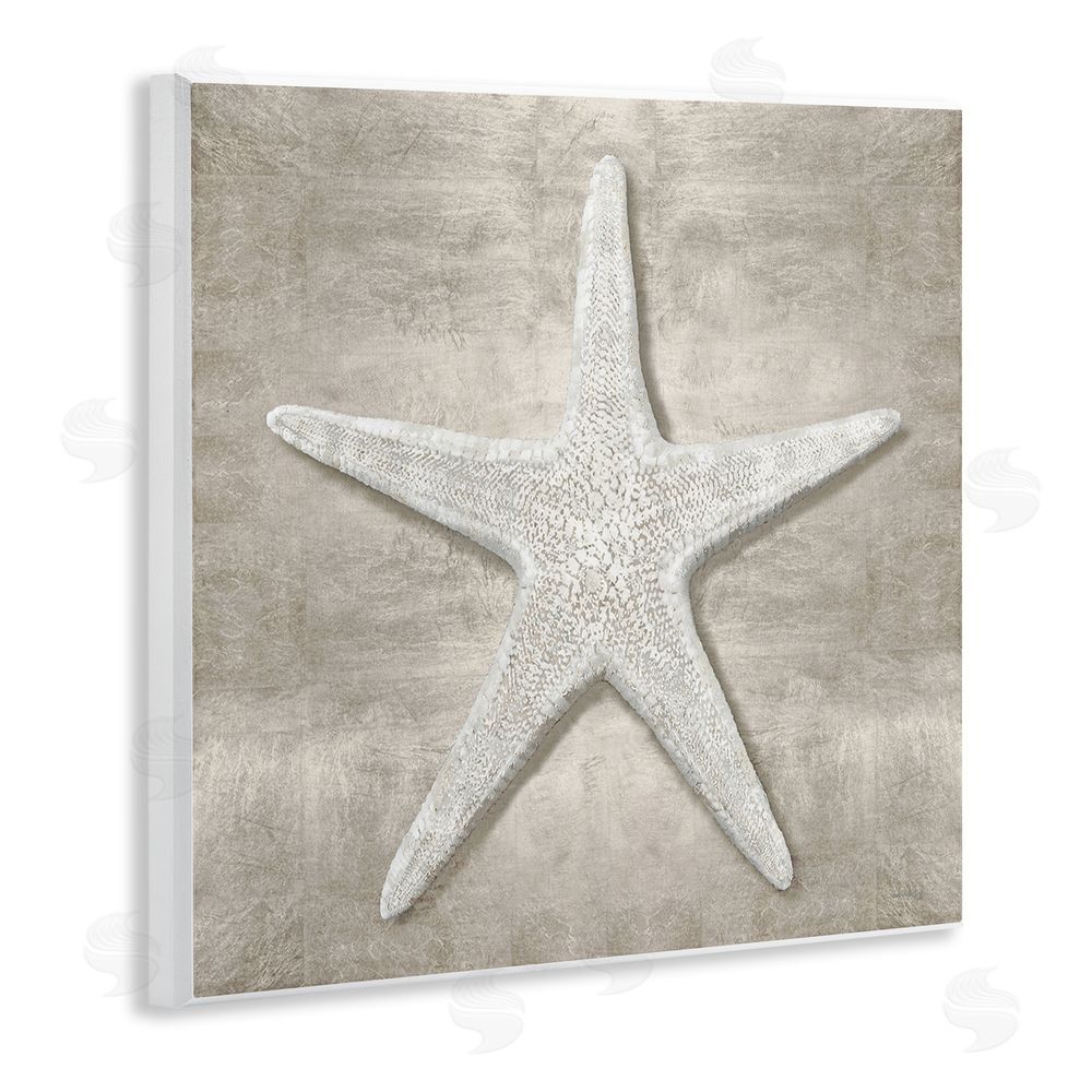 Amber Sterling Rustic Grey Starfish Wooden Wall Plaque Art Print