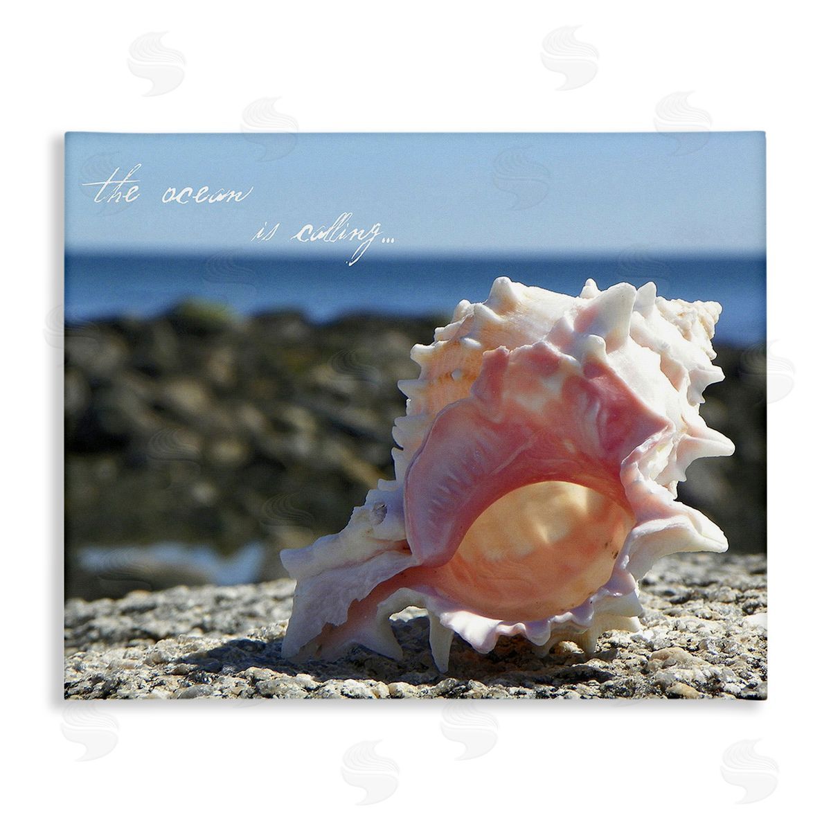 Graffitee Studios Ocean Is Calling Conch