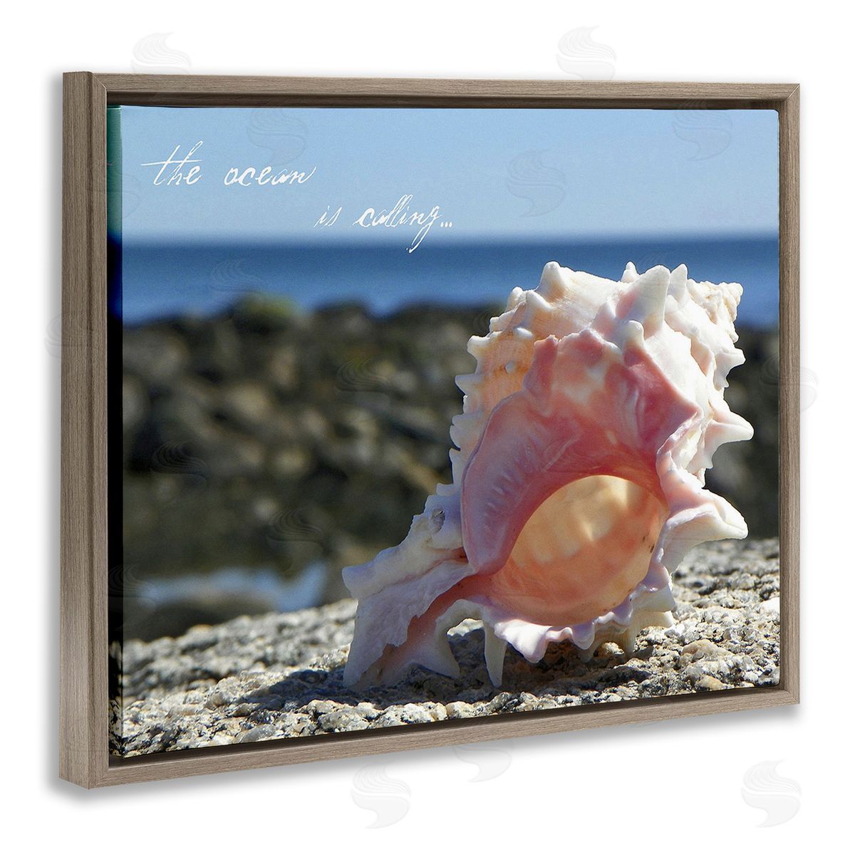 Graffitee Studios Ocean Is Calling Conch
