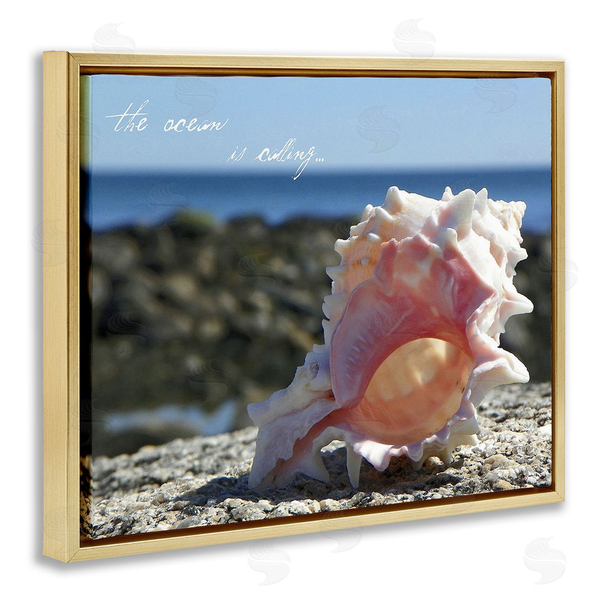 Graffitee Studios Ocean Is Calling Conch