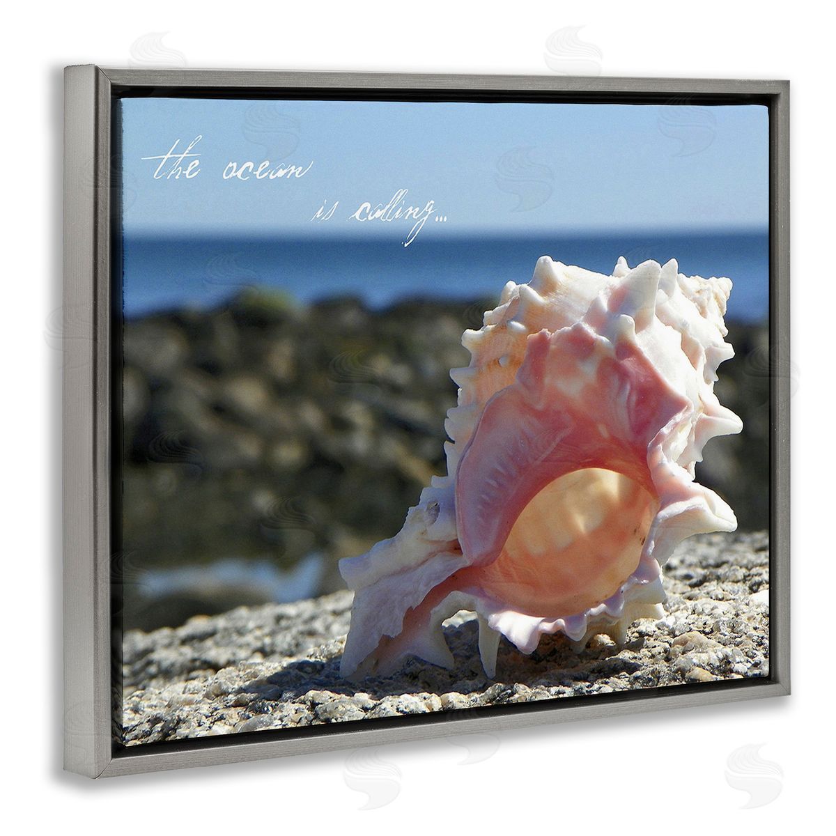 Graffitee Studios Ocean Is Calling Conch