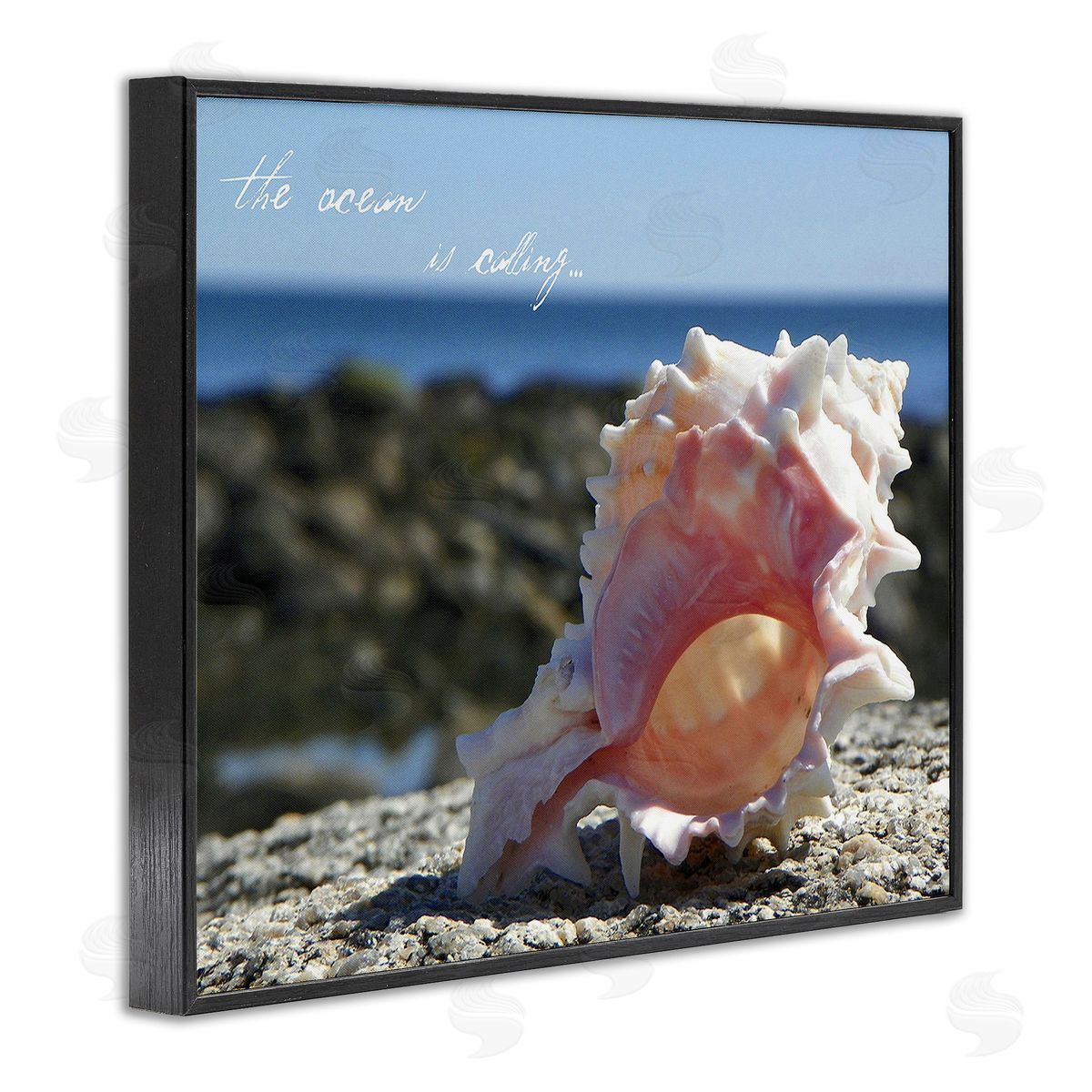 Graffitee Studios Ocean Is Calling Conch