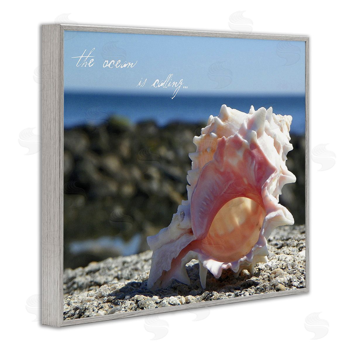 Graffitee Studios Ocean Is Calling Conch