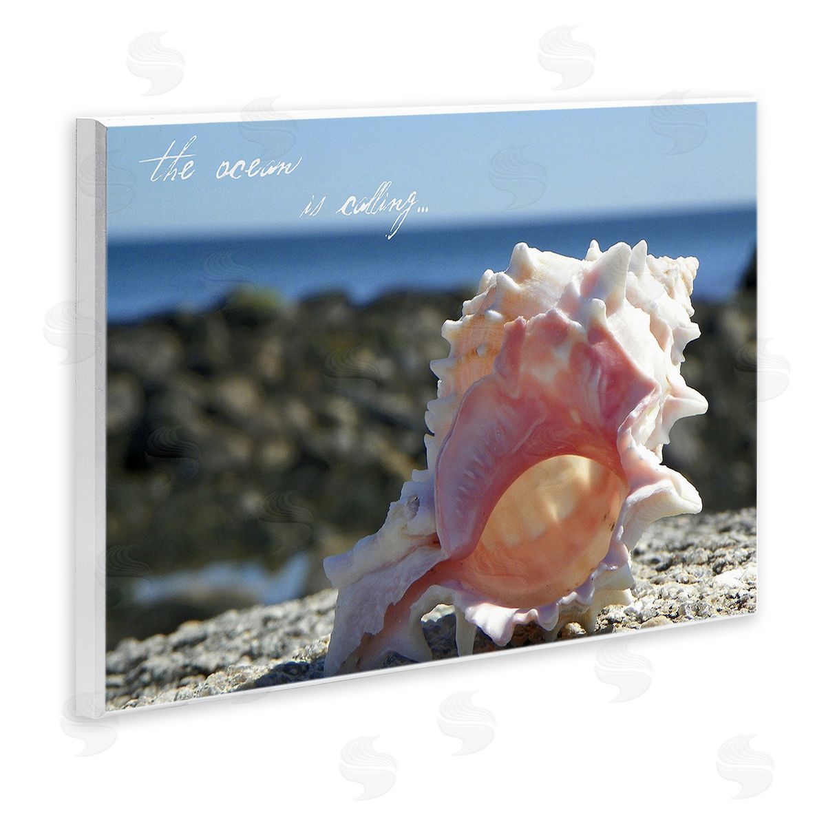 Graffitee Studios Ocean Is Calling Conch