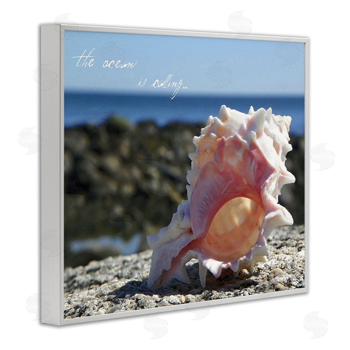 Graffitee Studios Ocean Is Calling Conch