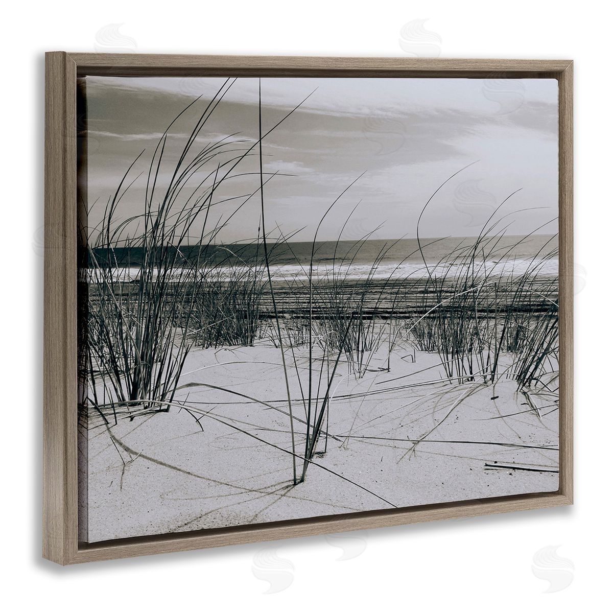 Graffitee Studios Subtle Beach Reeds