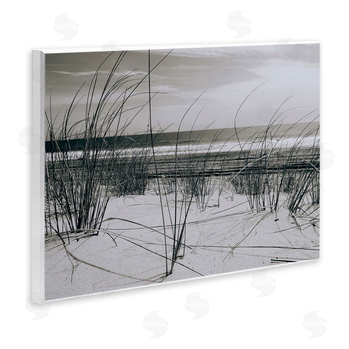 Graffitee Studios Subtle Beach Reeds