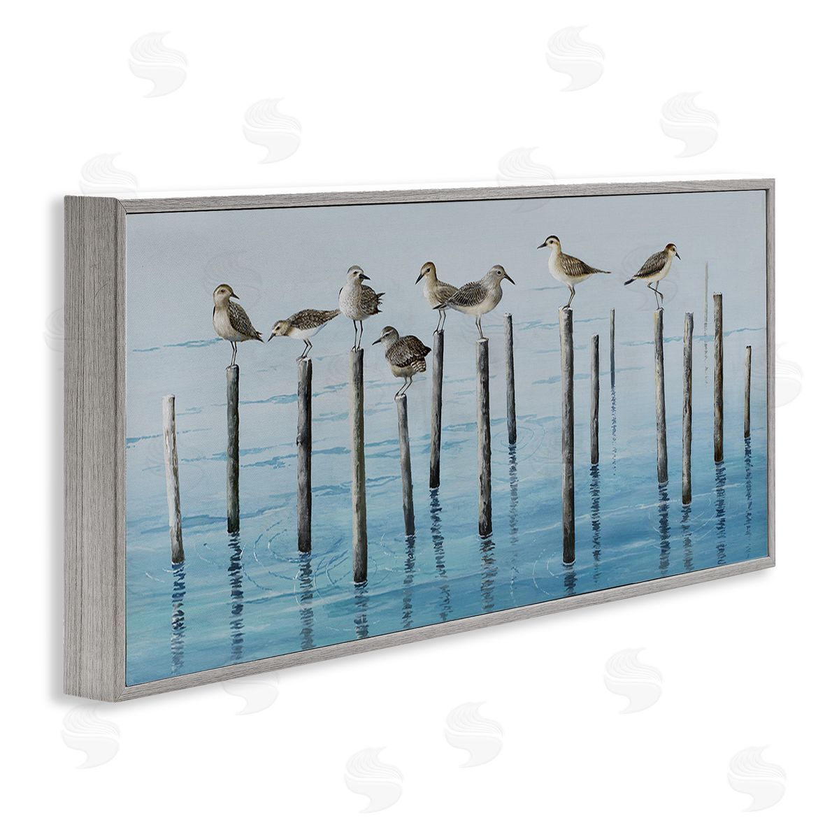 Max Maxx Perched Sea Birds