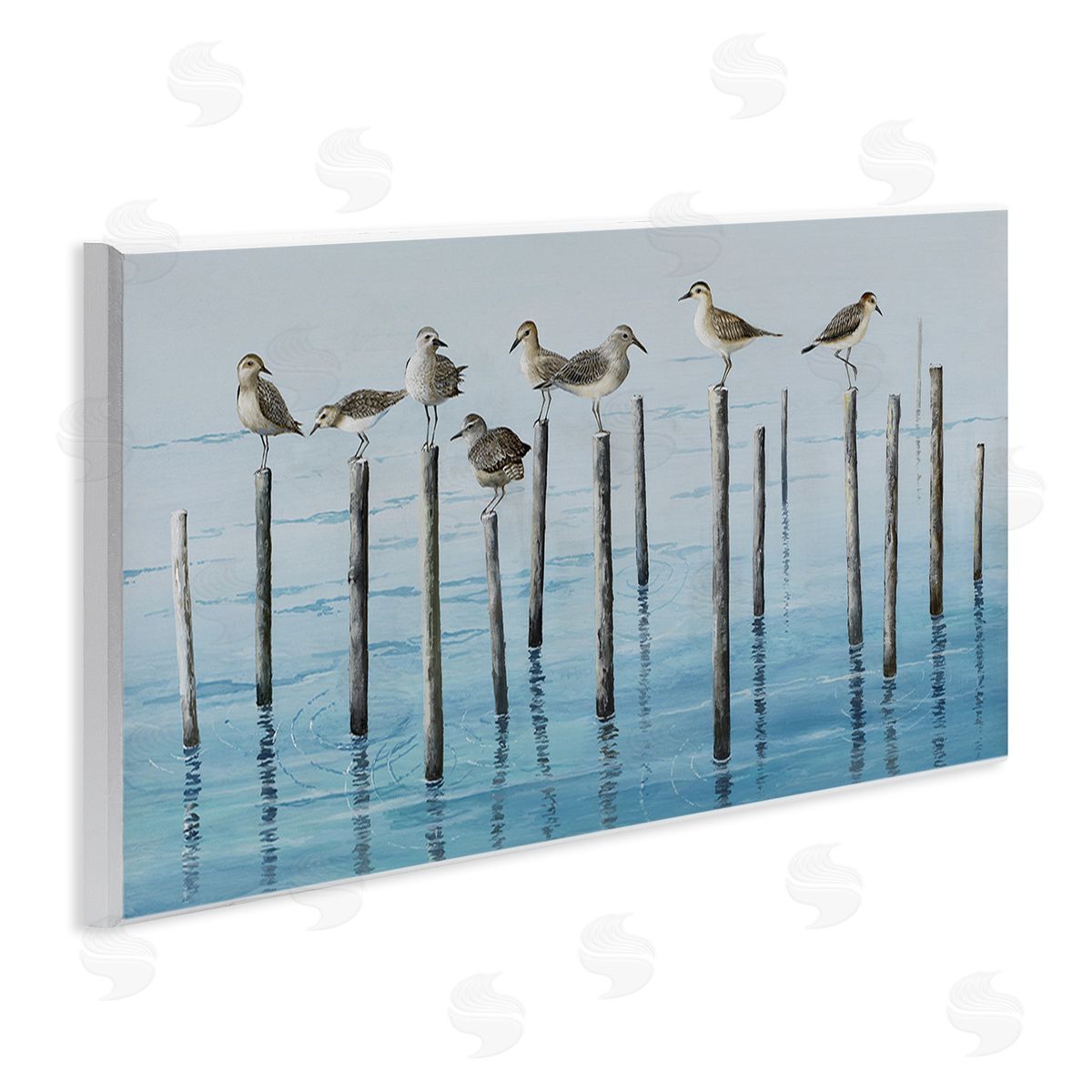 Max Maxx Perched Sea Birds