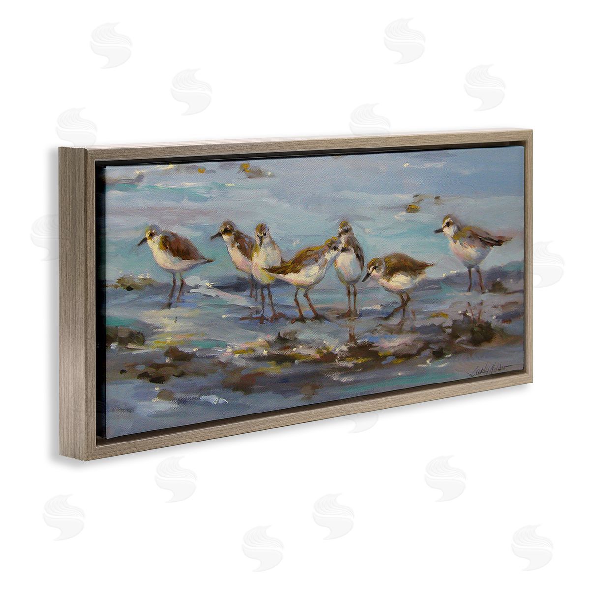 Sandy Nelson Sandpiper Flock on Shore