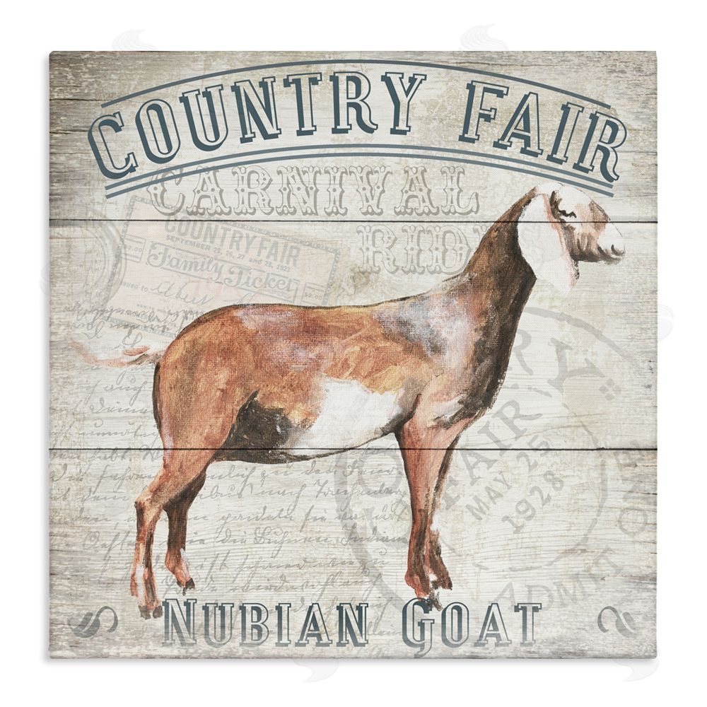 Gail Fraser Country Fair Goat Stretched Canvas Wall Art Print