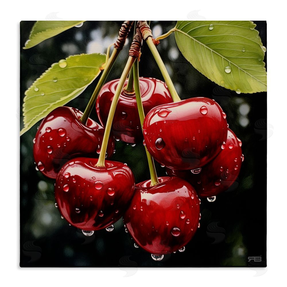 RB Cherries with Water Droplets Stretched Canvas Wall Art Print