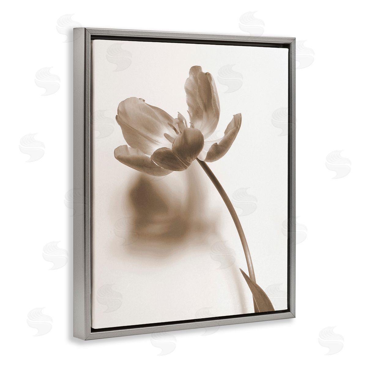 Gail Peck Minimal Tulip Stem Gray Floating Frame Canvas Wall Art Print