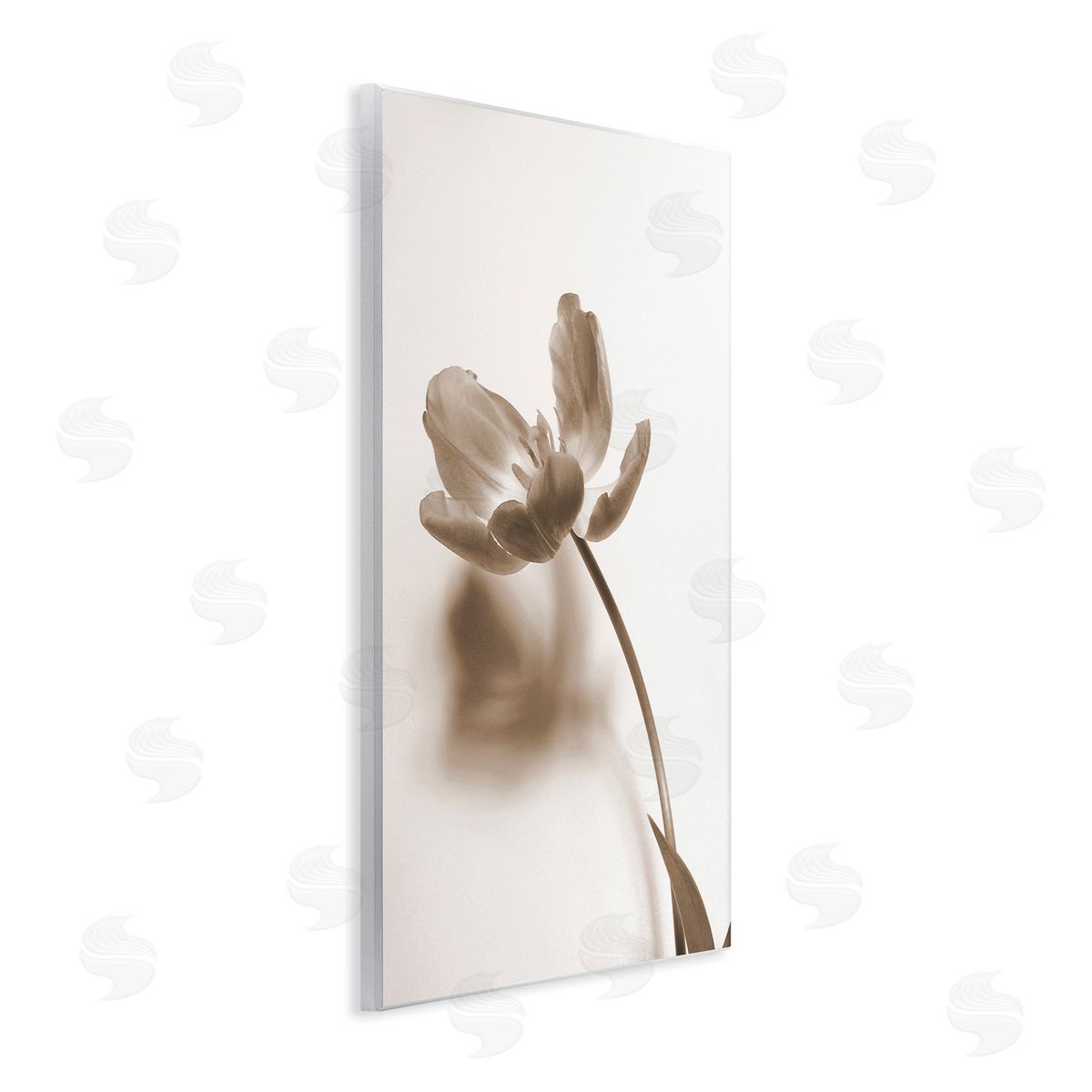 Gail Peck Minimal Tulip Stem Wooden Wall Plaque Art Print