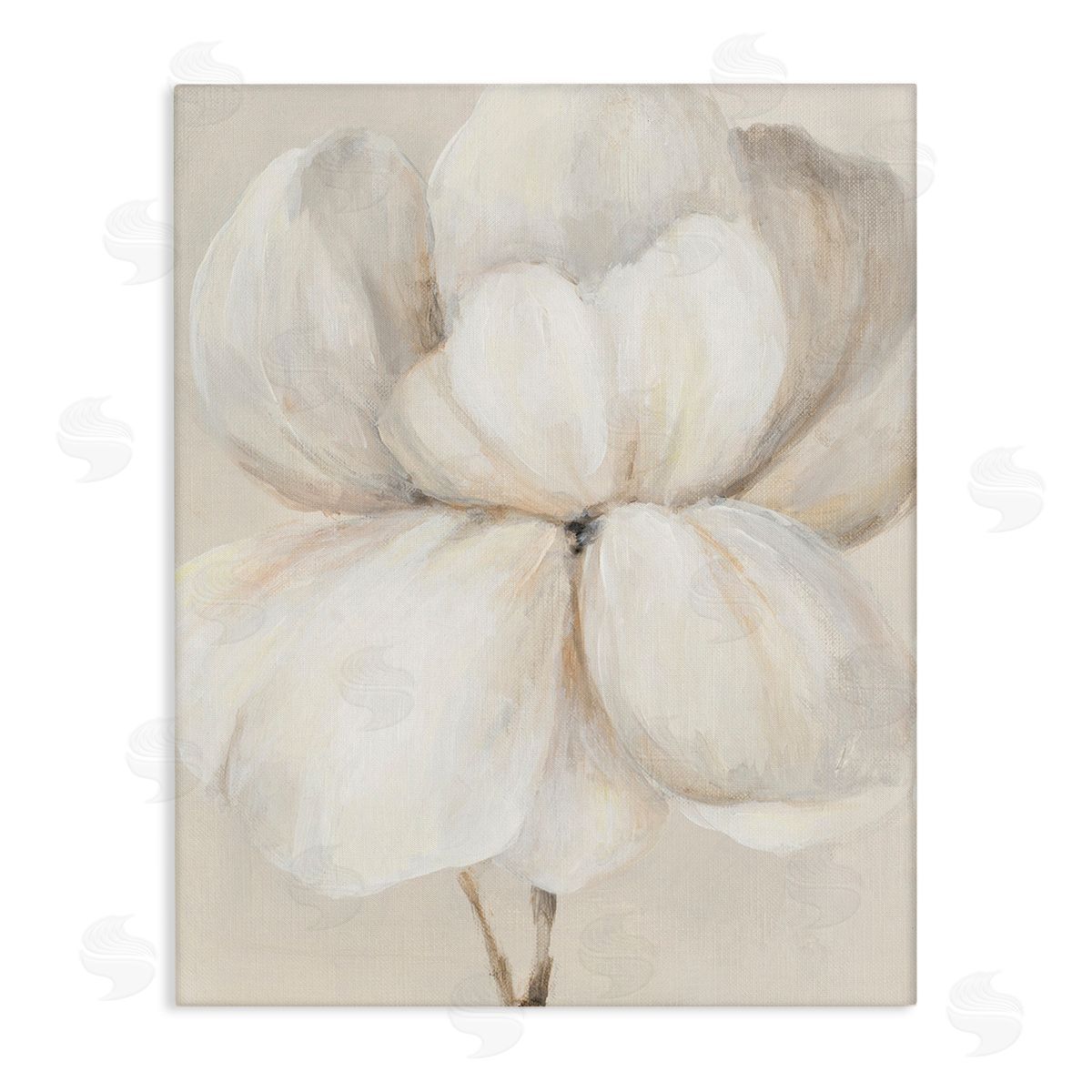 Patricia Pinto White Flower Blossom Canvas Wall Art Print