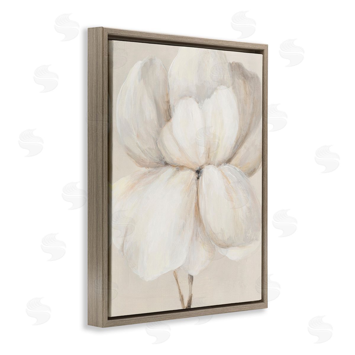 Patricia Pinto White Flower Blossom Brown Floating Frame Canvas Wall Art Print