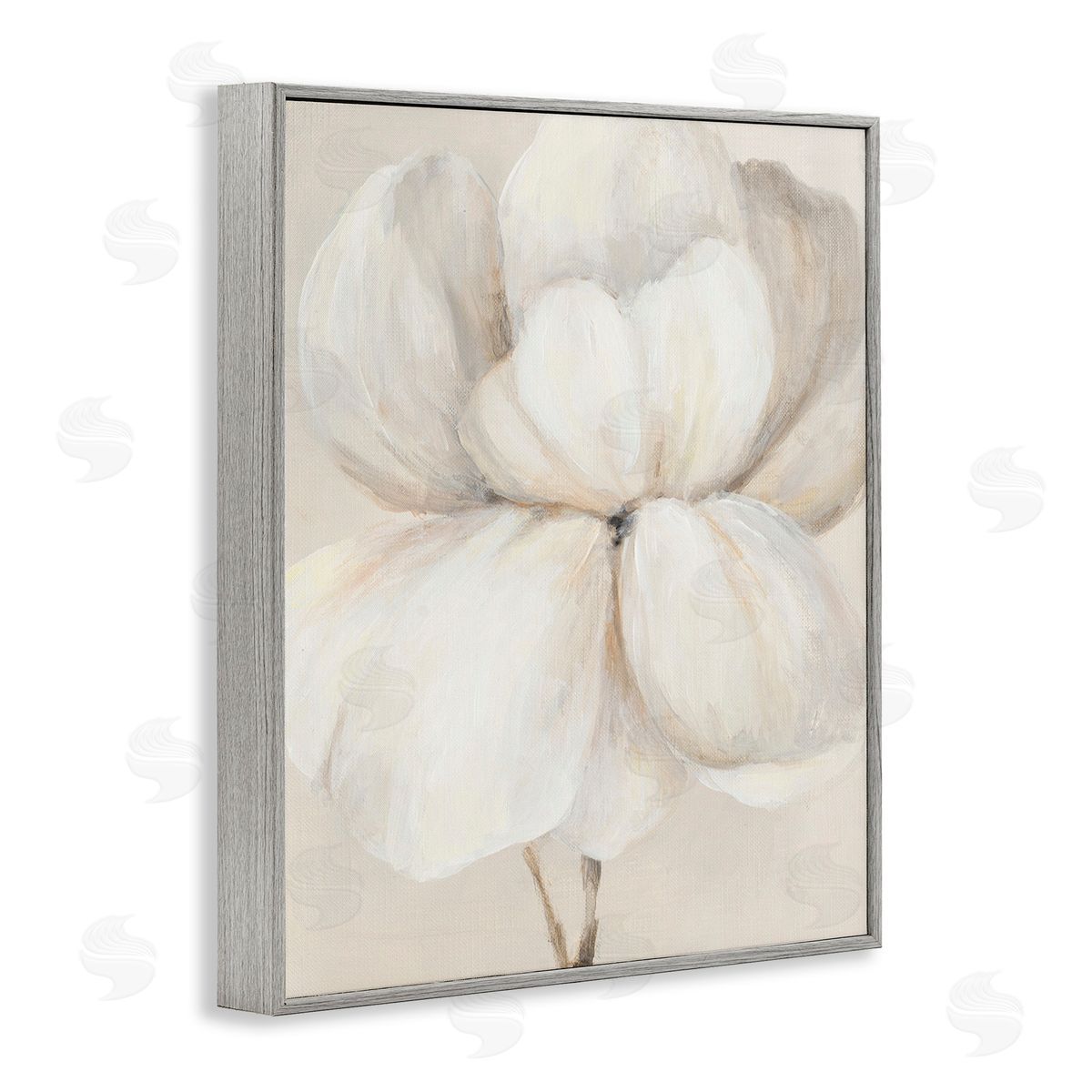 Patricia Pinto White Flower Blossom Gray Framed Giclee Wall Art Print