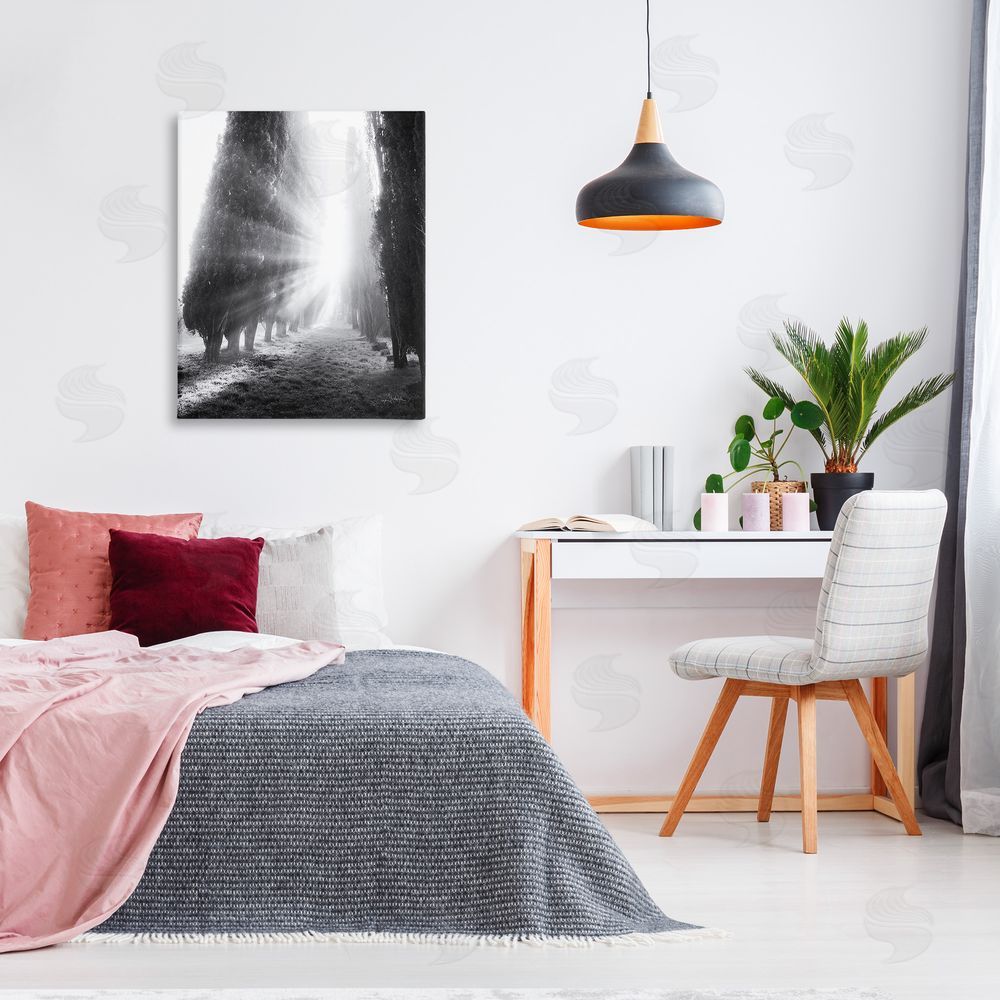 Aledanda Sun Rays & Hedge Grove Canvas Wall Art Print in Room
