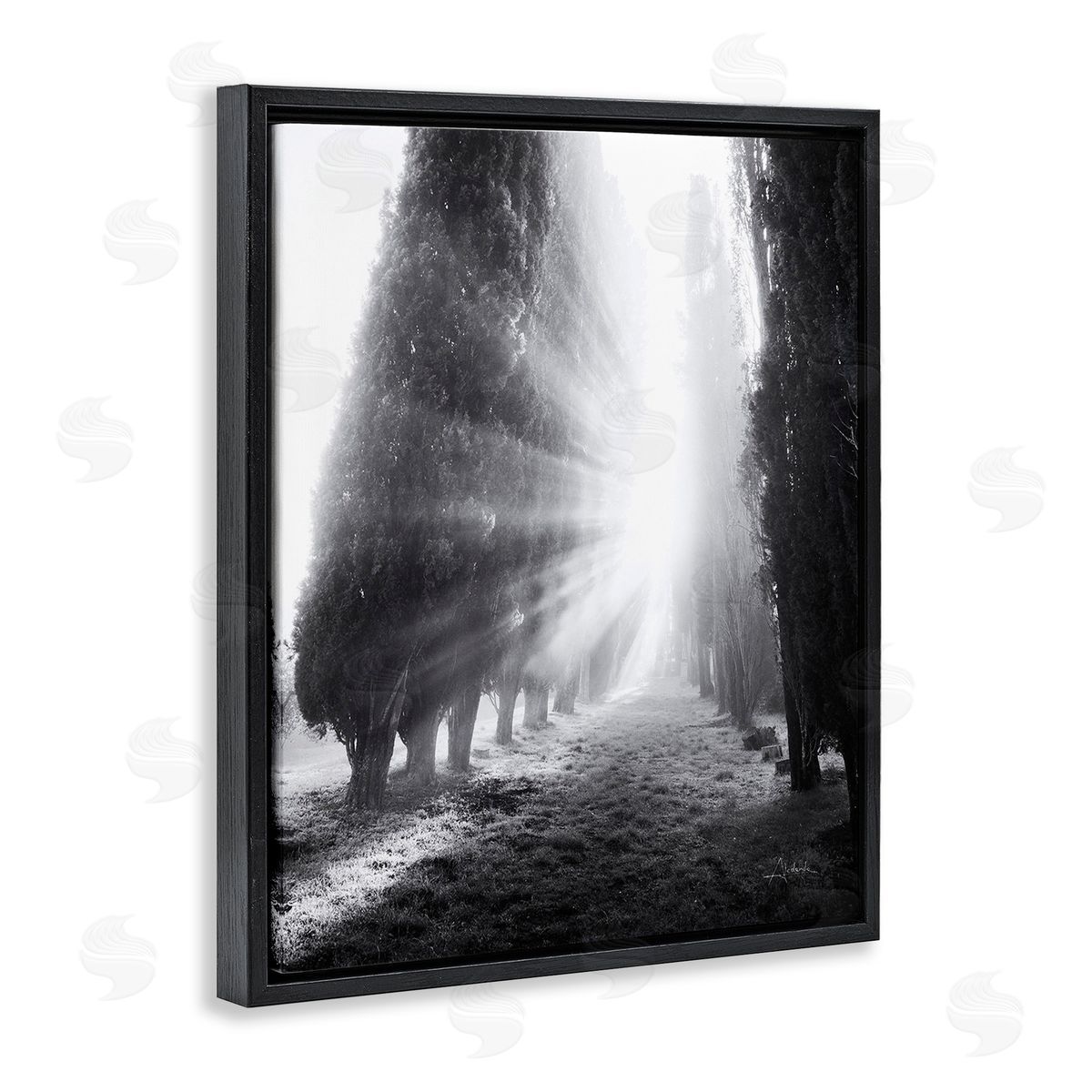 Aledanda Sun Rays & Hedge Grove Black Floating Frame Canvas Wall Art Print