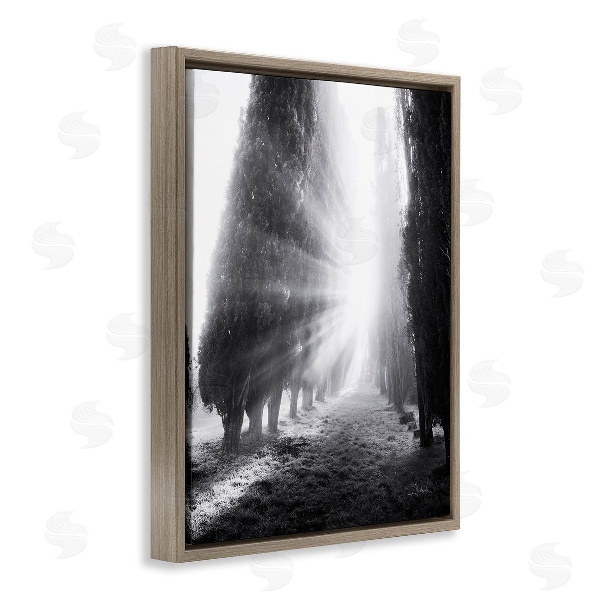 Aledanda Sun Rays & Hedge Grove Brown Floating Frame Canvas Wall Art Print