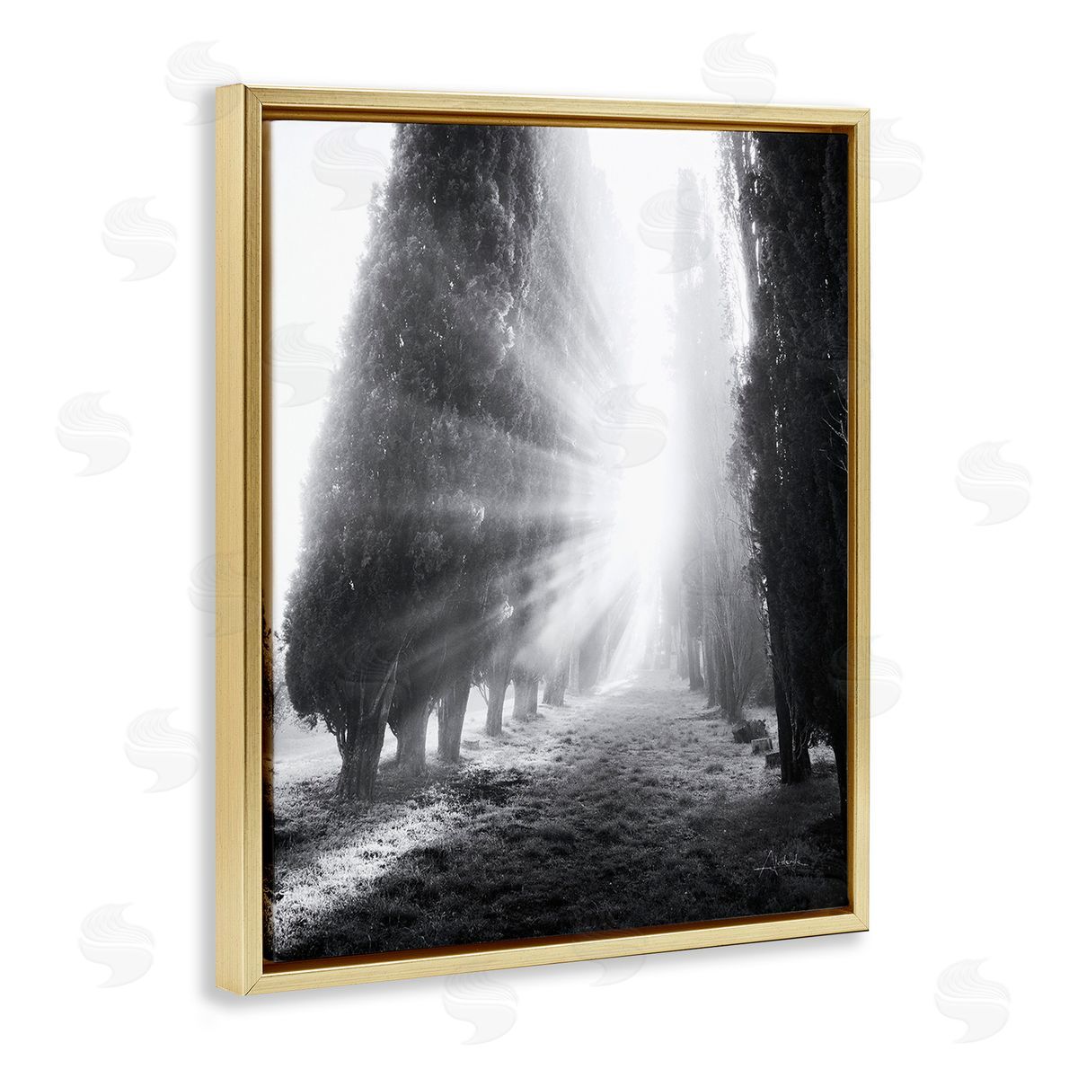 Aledanda Sun Rays & Hedge Grove Gold Floating Frame Canvas Wall Art Print