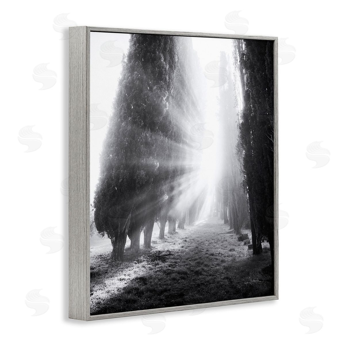 Aledanda Sun Rays & Hedge Grove Gray Framed Giclee Wall Art Print