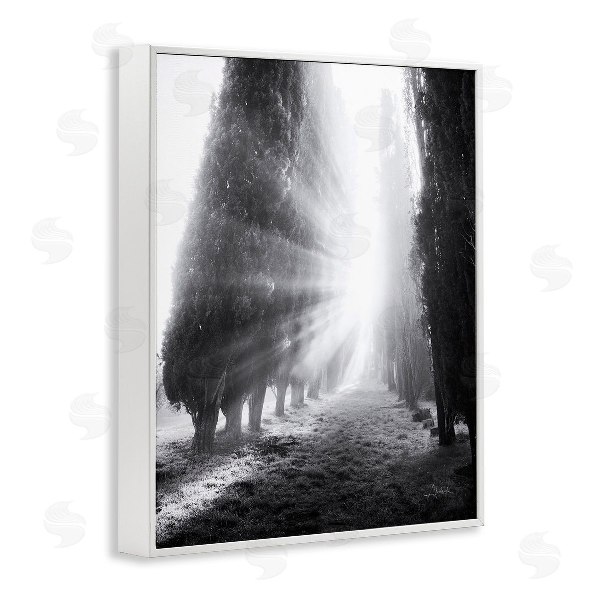 Aledanda Sun Rays & Hedge Grove White Framed Giclee Wall Art Print