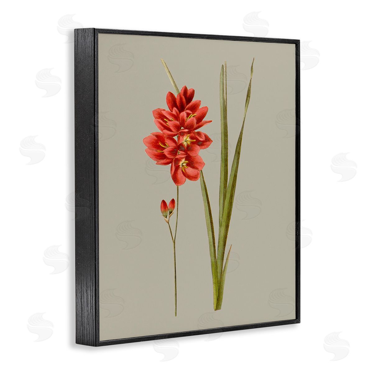 Vision Studio Red Traditional Botanical Black Framed Giclee Wall Art Print
