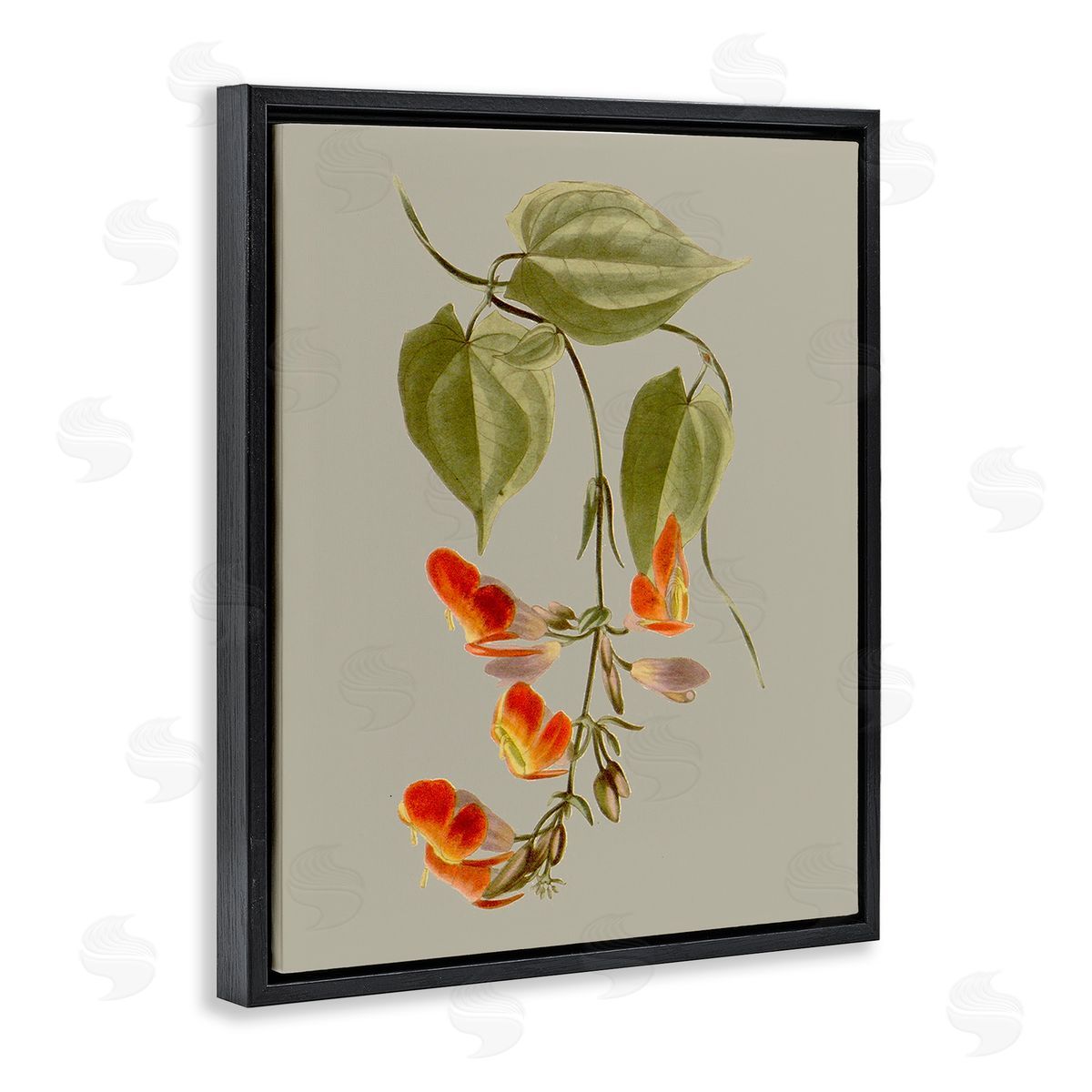 Vision Studio Vine with Red Blossoms Black Floating Frame Canvas Wall Art Print