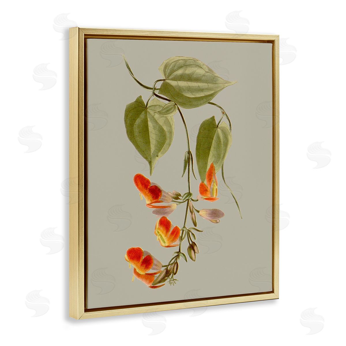 Vision Studio Vine with Red Blossoms Gold Floating Frame Canvas Wall Art Print