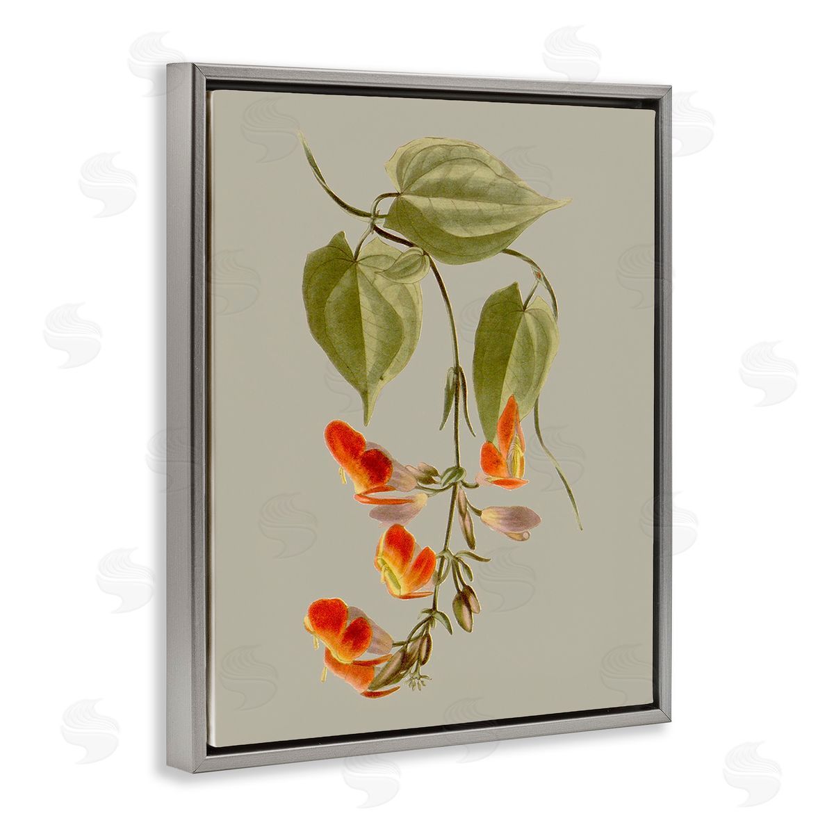 Vision Studio Vine with Red Blossoms Gray Floating Frame Canvas Wall Art Print