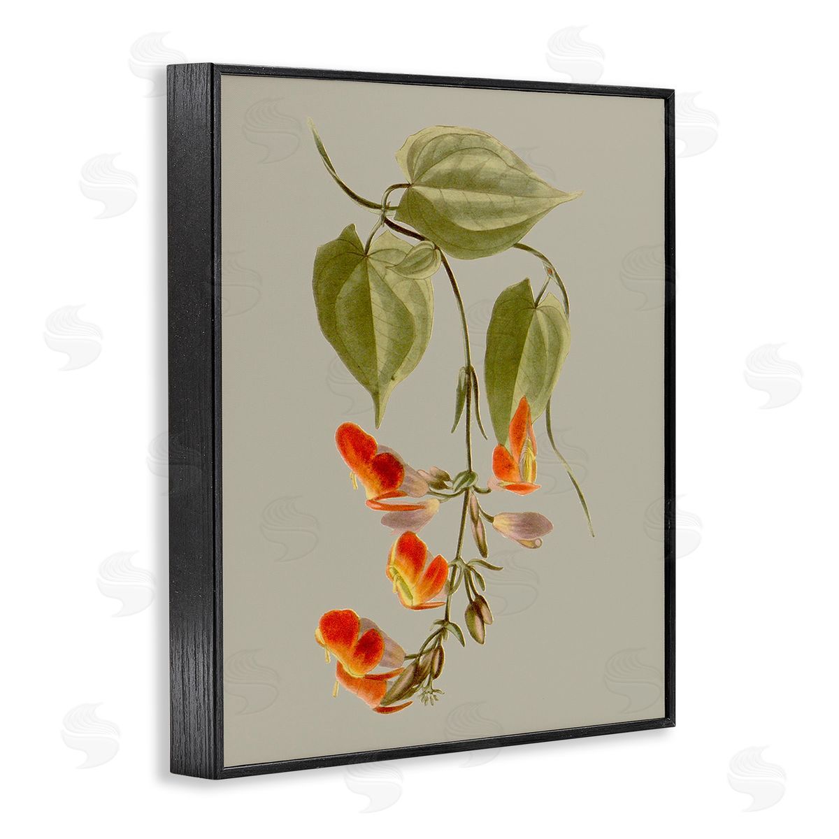 Vision Studio Vine with Red Blossoms Black Framed Giclee Wall Art Print