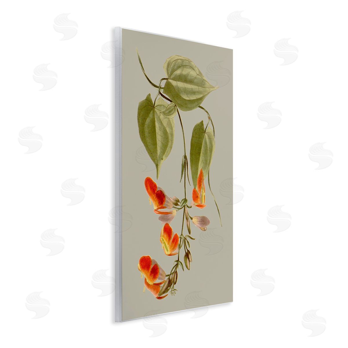 Vision Studio Vine with Red Blossoms Wooden Wall Plaque Art Print