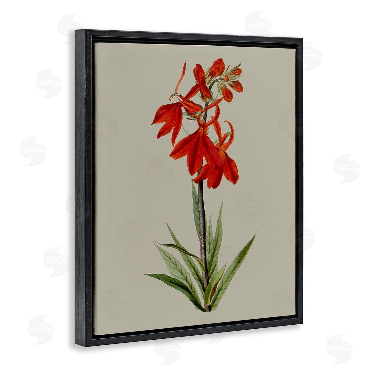 Vision Studio Traditional Blossom Study Black Floating Frame Canvas Wall Art Print