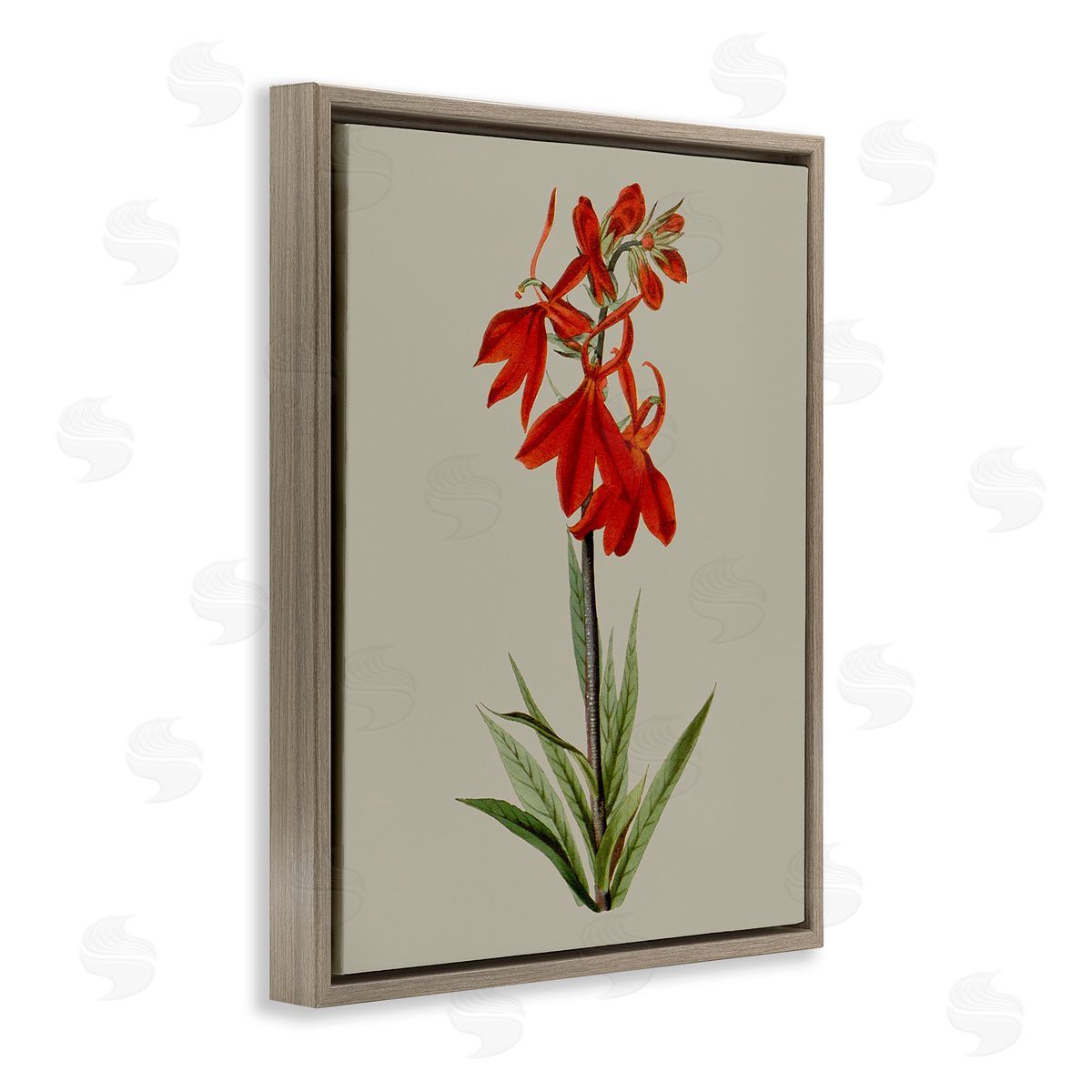 Vision Studio Traditional Blossom Study Brown Floating Frame Canvas Wall Art Print