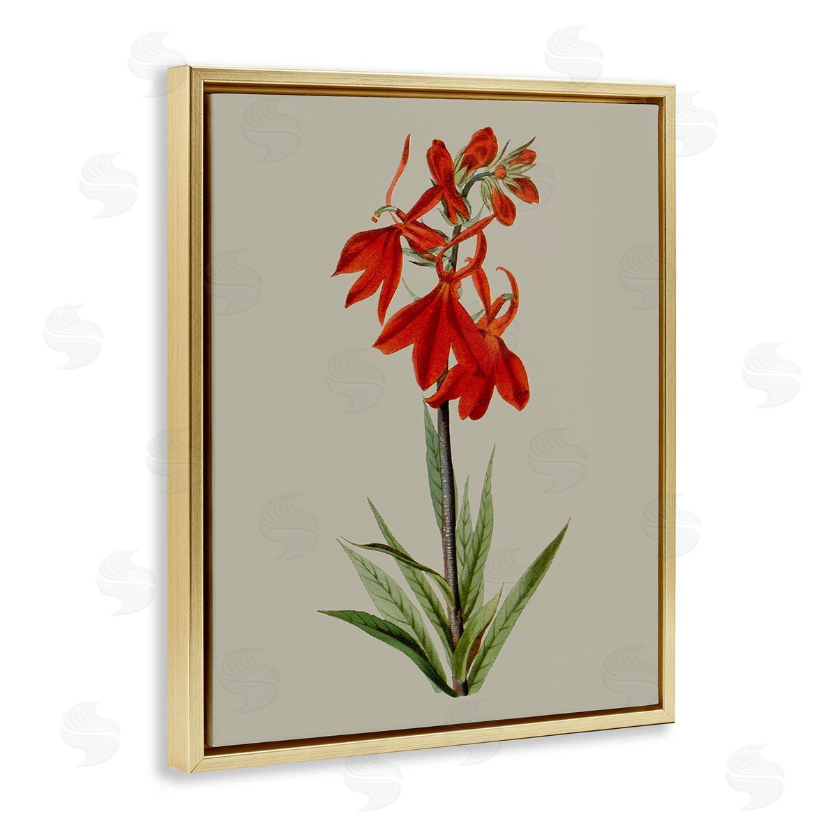 Vision Studio Traditional Blossom Study Gold Floating Frame Canvas Wall Art Print