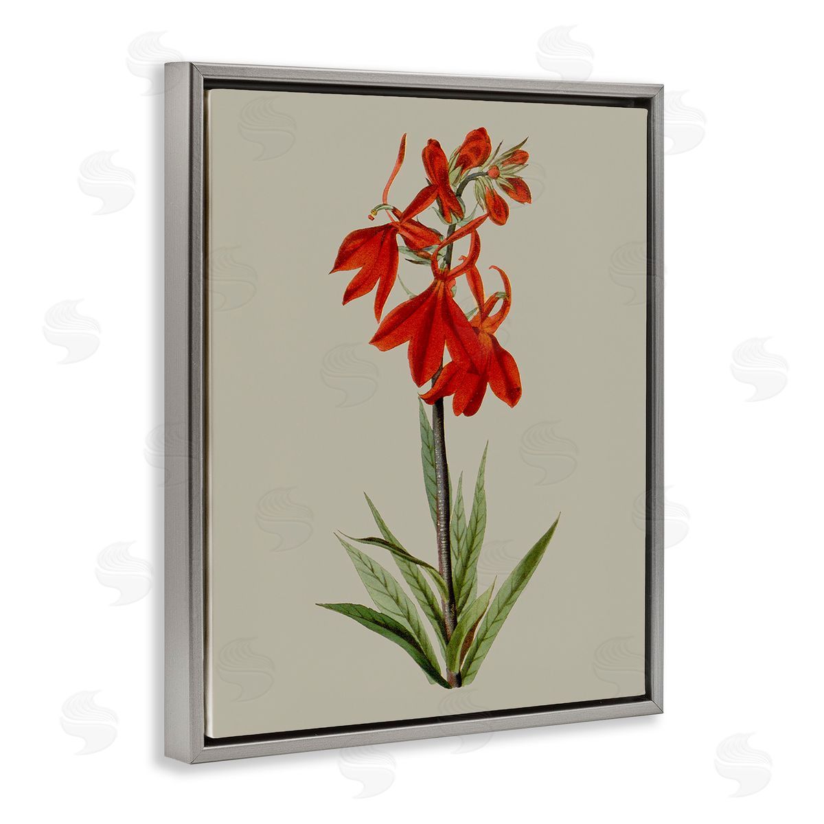 Vision Studio Traditional Blossom Study Gray Floating Frame Canvas Wall Art Print