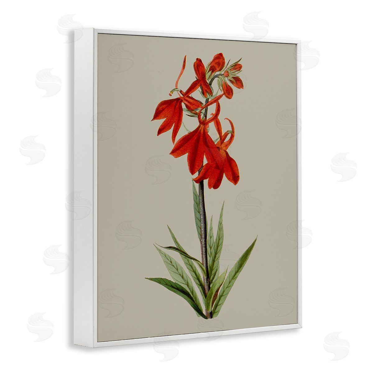 Vision Studio Traditional Blossom Study White Framed Giclee Wall Art Print