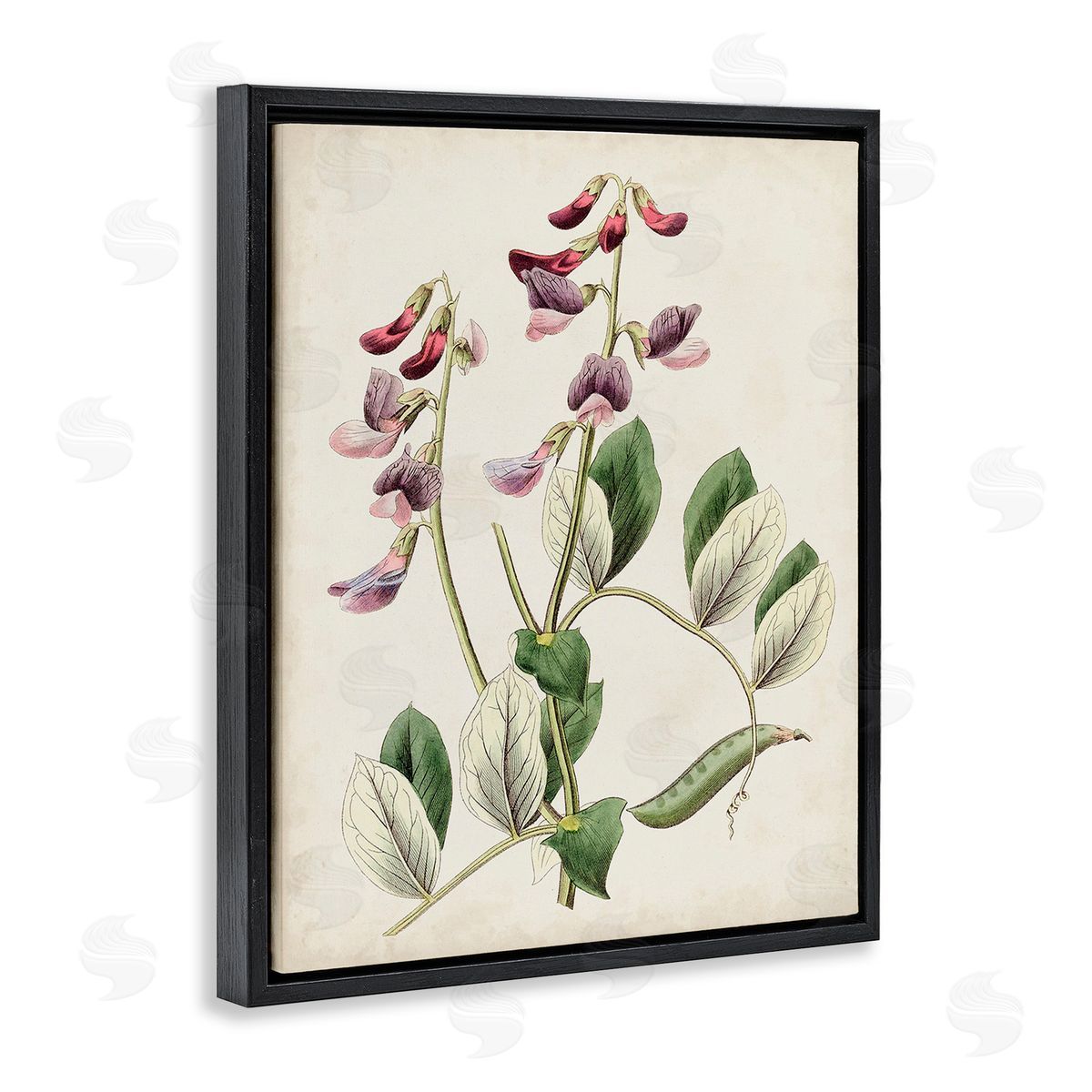 Ridgeway Vintage Foxglove Study Black Floating Frame Canvas Wall Art Print