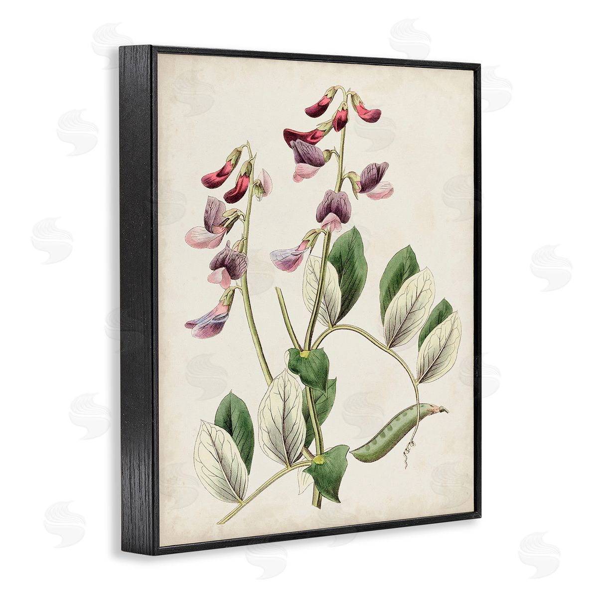 Ridgeway Vintage Foxglove Study Black Framed Giclee Wall Art Print